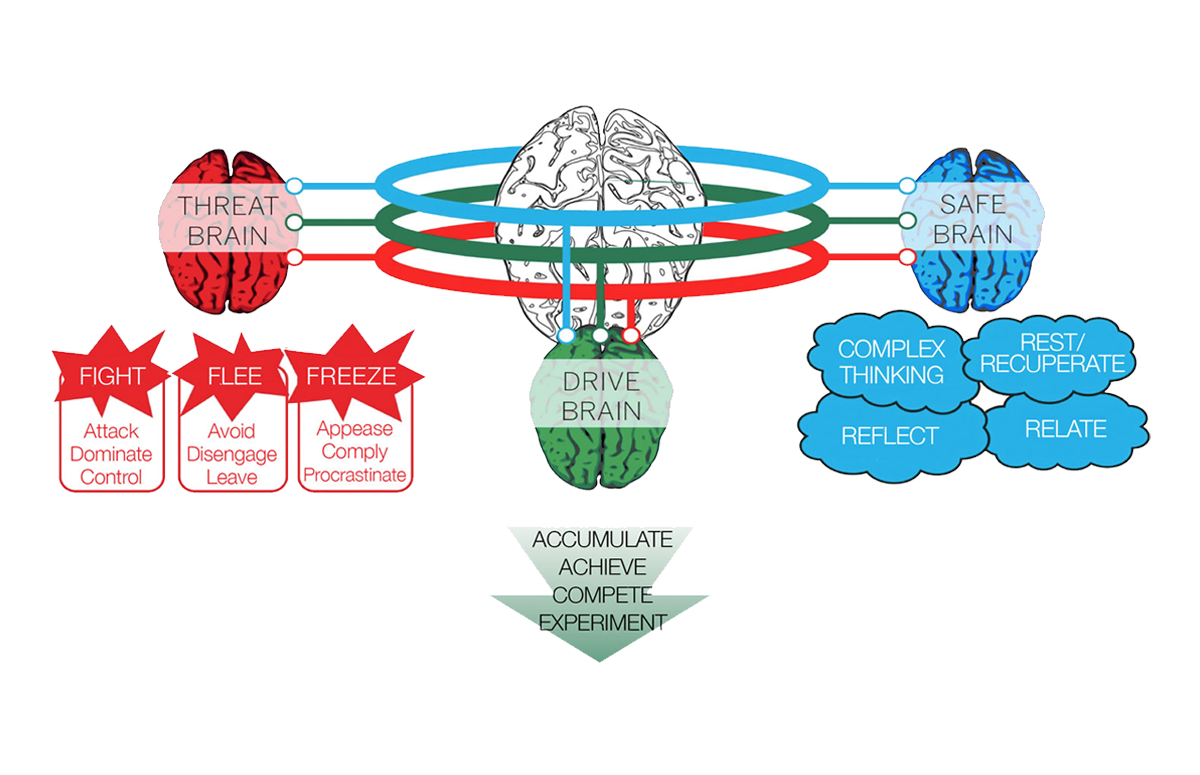 Threat and our Trimotive brain The Dialogue Space