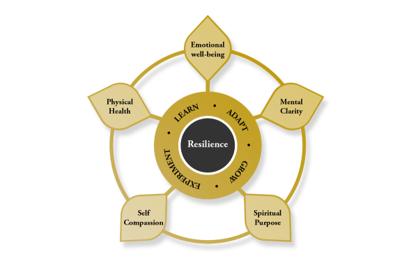 Personal and system resilience